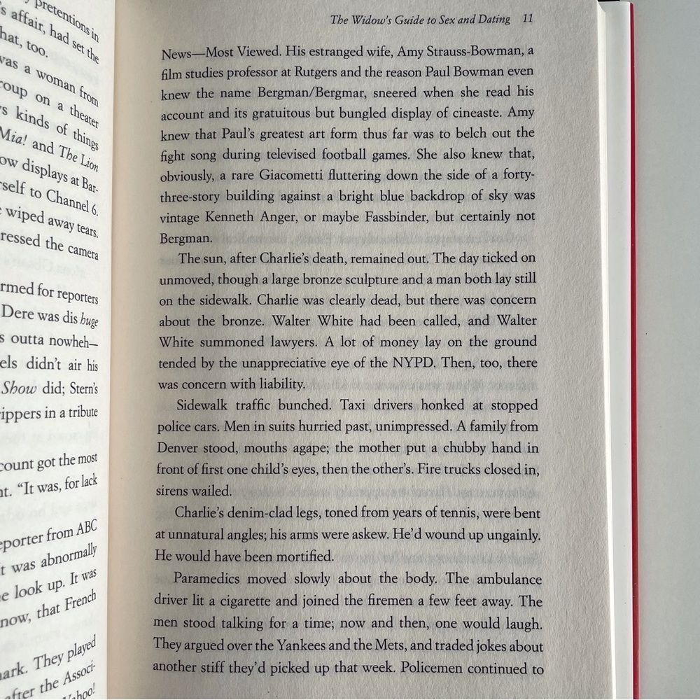 BOOK, The Widow’s Guide to Sex & Dating, a novel, 302 pages, Fiction, NOS - Picture 10 of 16
